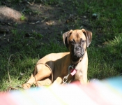 TwoRivers2008 116